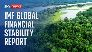 IMF news conference on the Global Financial Stability Report