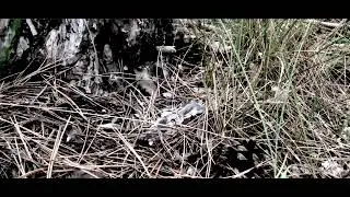 ТОП Класации - СЕЗОН 3 - Official Teaser (HD)