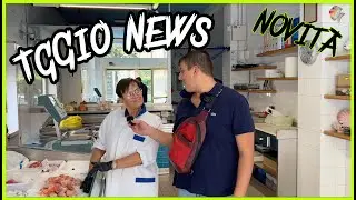 Quali sono le attività di Sarnico? E non solo! 💙💚🚀 con @willbusevevo4089 e @YouTube #sinapsix