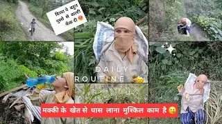 गाँव में  मक्की  के  खेत  से  घास  निकालना  बहुत मुश्किल  काम  होता है 🥹