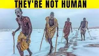 This Tribe In The Arctic Has SHOCKED Researchers