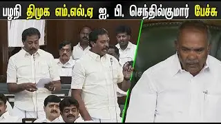 I P Senthilkumar speech at Assembly | DMK MLA, CM MK Stalin,| Palani MLA ,Tamil News |STV