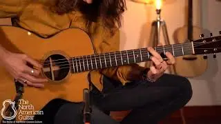 Bourgeois OMC 'Soloist' Acoustic Guitar Played By Brian Love (Part One)