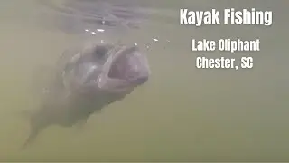 Lake Oliphant - Chester, SC - Kayak Fishing for Bass - 6/19/19