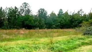Homes for Sale - 460 Old Chesnee Hwy - Chesnee, SC 29323 - Mitzi Kirsch