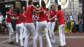 WAAGPLEIN PDDP1 2009