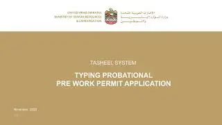 Typing Probational Pre Work Permit Application