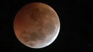 The 