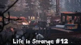 WHERE IS THIS STUPID BONFIRE | Life is Strange #12
