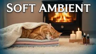 Late Night Cat Purring Audio 🐾🌙 Natural Relaxing Sounds to Unwind, Sleep Better, and Feel Safe