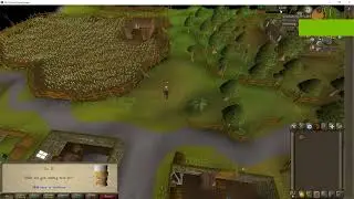 Oldschool Runescape | Where is Leela?