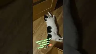 Стэтхэм о бункере🐈&zwj;⬛😻❤️&zwj;🔥 #memes #cat #мемас #видосыоткота #recommendations #кот #популярное #юмор