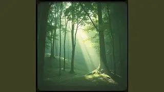 Miracle Path