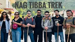 Nag Tibba Trek Experience: Trekking in the Queen of the Lesser Himalayas #trending #trekkingvlogs