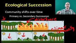 Biology:  Community Ecology