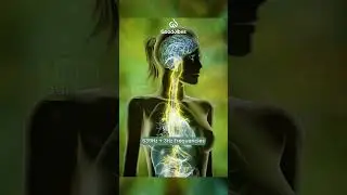 Heart Healing Frequency: Binaural Beats for Heart Chakra Healing