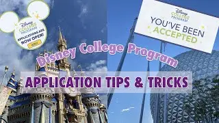 DCP Application: Everything You Need to Know