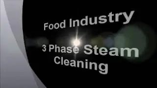 Food Industry 3 phase Steam Cleaner - detail cleaning