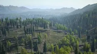 GreenMap top view