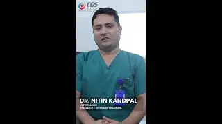 Dr nitin - Specialized treatments are available at CGS Hospital for pets.