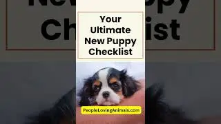 Complete New Puppy Checklist