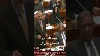 Saifullah Abro In Senate Again | Breaking News | Ishaq Dar | Jehanzeb Abbasi