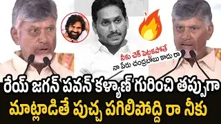 Chandra Babu Serious Comments On YS Jagan | Pawan Kalyan | Janasena Party | RT Media