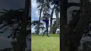 Driving one #golfswing #golf #sanfrancisco #golfclubs
