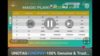 None working income and magic plant income 
