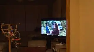 Christopher Snyder Live Stream