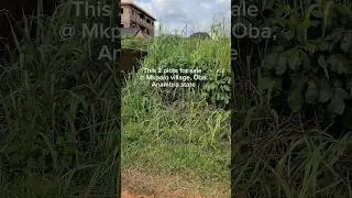 Profitable land in Oba, Anambra state. #obicubanamotherburial #realestate #anambrastate #Oba