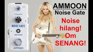Ammoon Noise Gate Review (Indonesia)