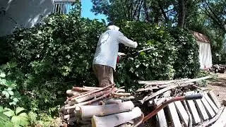 Out of control vine maintenance
