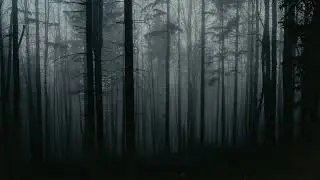 Mystical choir