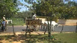 La carreta, por Alberto de Luque