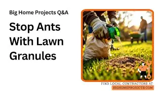 Pyrethroid Granule Ant Barrier Lawn Protocol