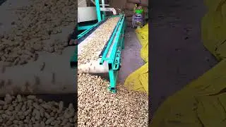 #conveyor  #karniagroindustries   #rajasthan #mungfali #peanutshellingmachine #farming #automobile