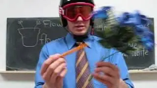 Free English Lesson 82 - Plant, Flower, Stem and Leaves