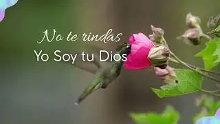 No Temas, Yo Soy tu fuerza | Isaías 43 #Isaías43 #fe  #NoTemas #AdoraciónCristiana #MúsicaParaOrar