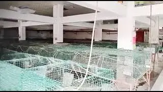 BUYBACK Agreement From Umair Arshid Hazro Attock WhatsApp 03002949494 Jami Rabbit Farming Company