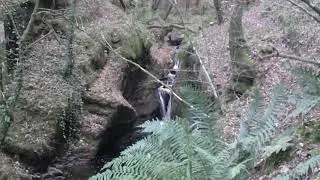Hafod Estate Walk