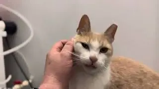 Sweet and tender gentleman seeking life long  companionship.