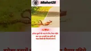 Saluate this man😊🙂 | #shortsyoutube #help #helpingother#ytshorts #motivation #viralvideo