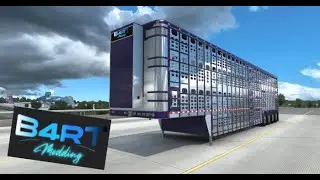 B4RT Updated Wilson Silverstar 53