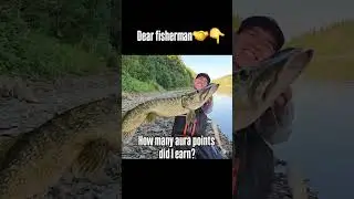Du willst solche Hechte fangen? Jetzt beim Pikecoaching vorbei schauen!🐊 #harzfishing #hechtangeln