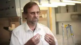 Wie entsteht Leben? (Prof. Dr. Siegfried Scherer)
