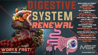 Digestive System Renewal (Amazing Results!)