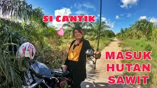 PETUALANGAN ke HUTAN SAWIT