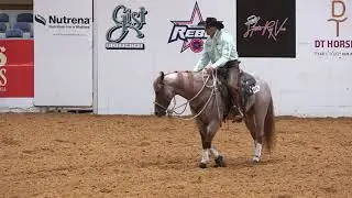 Quahadi - 2018 Snaffle Bit Futurity Open Hackamore Classic