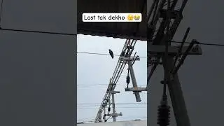 Crow get electric shock😭#railway #trending #crow #viral #youtubeshorts #birds#delhi #ytshorts#train